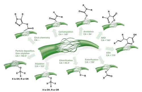 Presentation about “Hydrophobization of lignocellulosic materials”