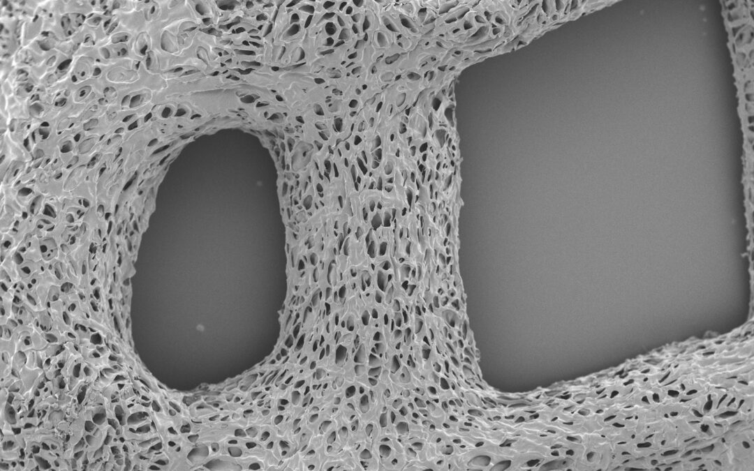 bioMAT4EYE-prosjektet ferdigstilt med lovende resultater