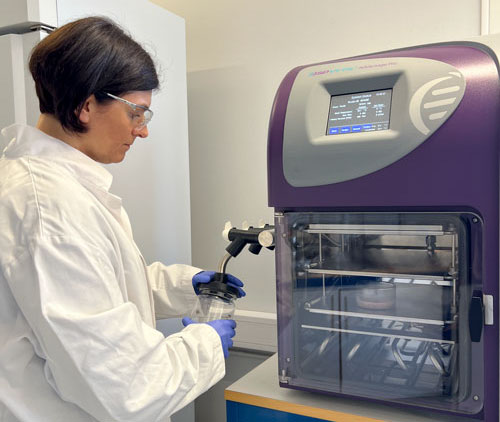 Freeze drying without structural collapse